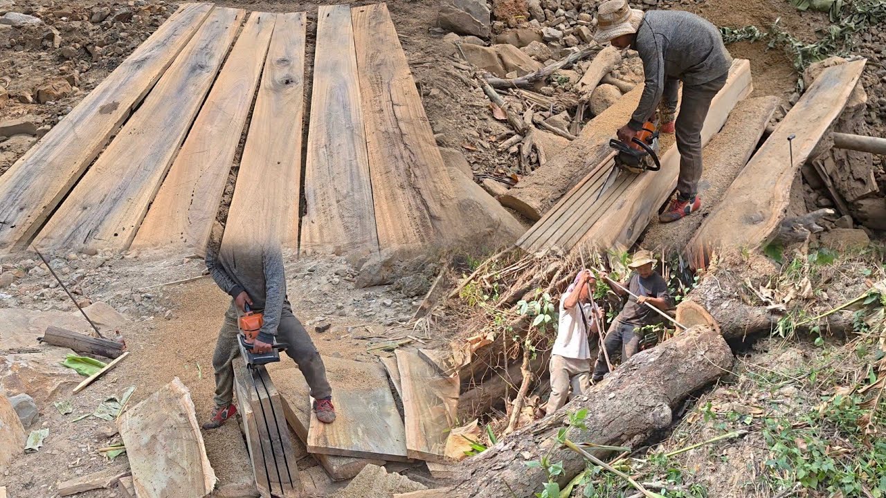 Back to the Grind: Chainsaw Wood Cutting