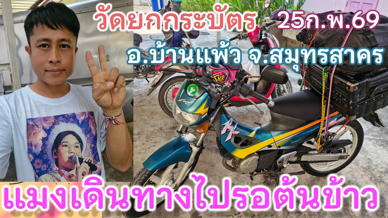 แมงกาบี้พร้อมไปรอไลฟ์สดน้องต้นข้าวที่ วัดยกกระบัตร อ.บ้านแพ้ว จ.สมุทรสาคร น้องร้อง4ทุ่ม