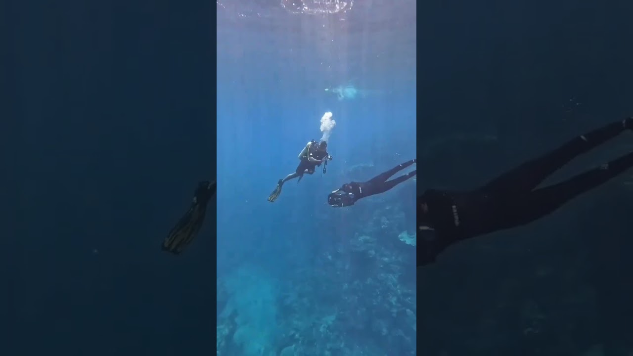 Experiencing an underwater dive that is worthy of your dreams #Jeddah #RedSea #DivingLife #جدة