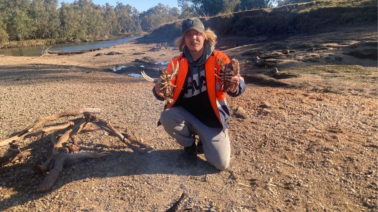 Catching freshwater crayfish! (Campfire cooking)