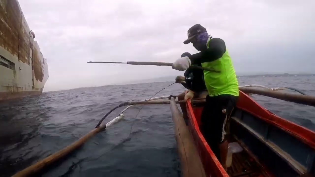 King Mackerel 7KG
