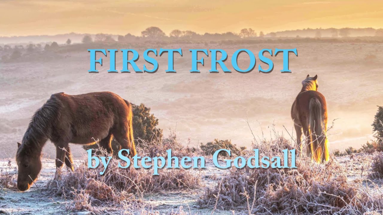 FIRST FROST: Happy Christmas from the Old Forest