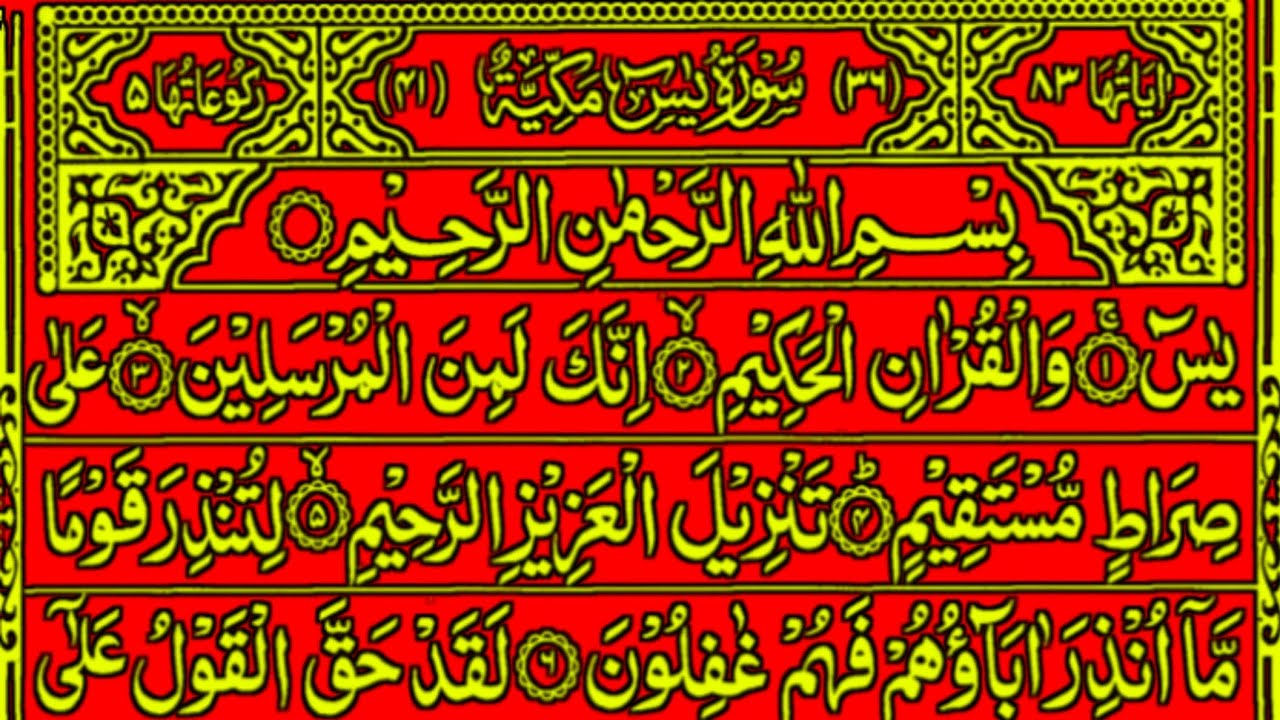 Most Beautiful recitation of Surah Yaseen | Surah Yaseen Ki Tilawat🌹| Surah Yaseen | Quran Tilawat 