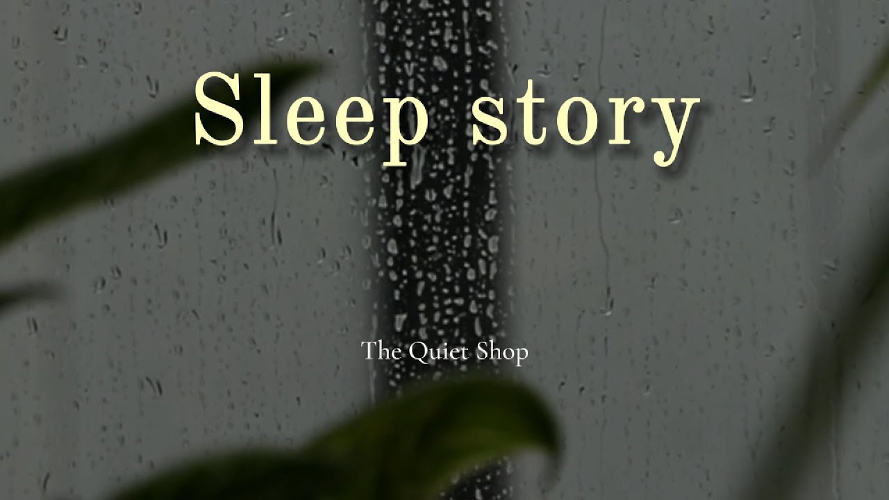 A Calm Rainy Story | Sleep Story | The Quiet Shop