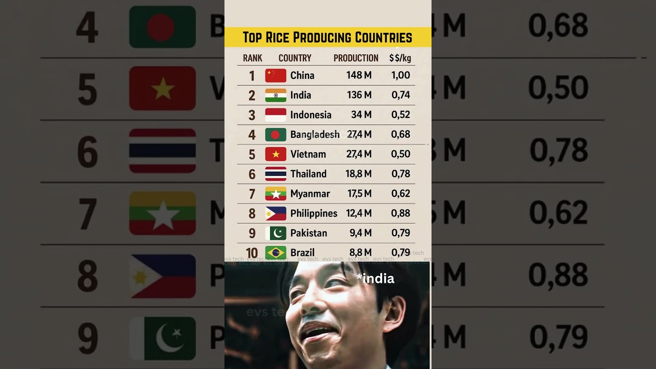 Top 10 Rice Producing Countries & Global Prices &ndash; 2025