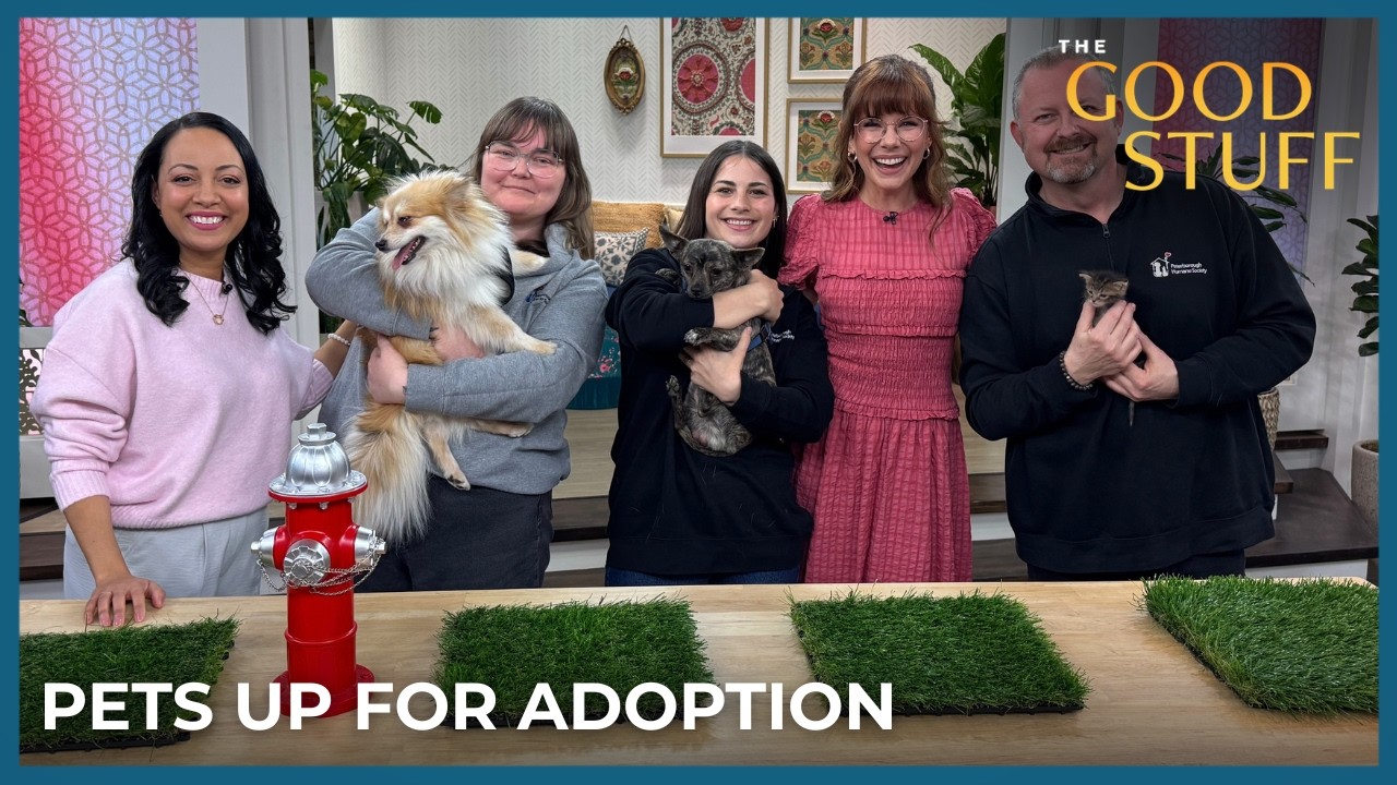 Adorable Pets for Adoption | The Good Stuff with Mary Berg