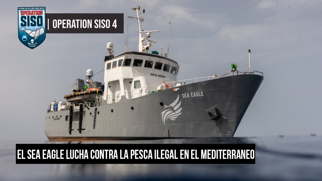 El Sea Eagle contra la pesca ilegal en el Mediterraneo