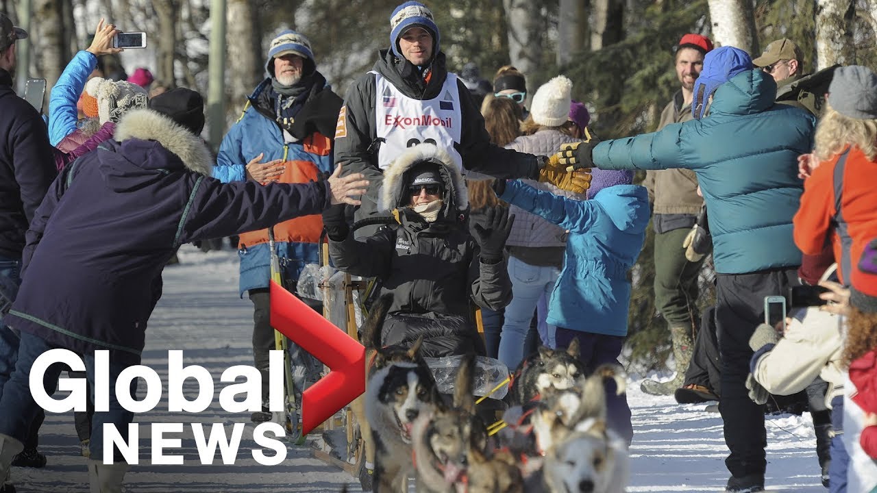 Iditarod sled dog race kicks off in Alaska amid protests