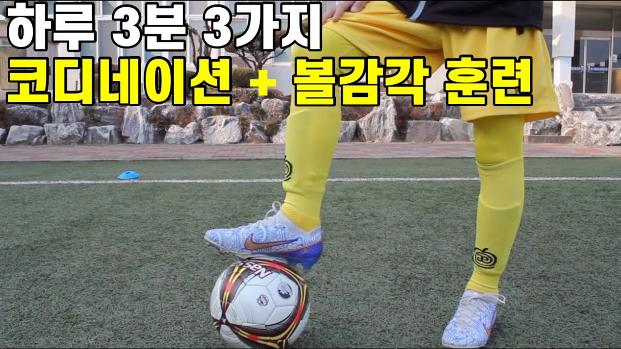 혼축하고 싶어지는 영상