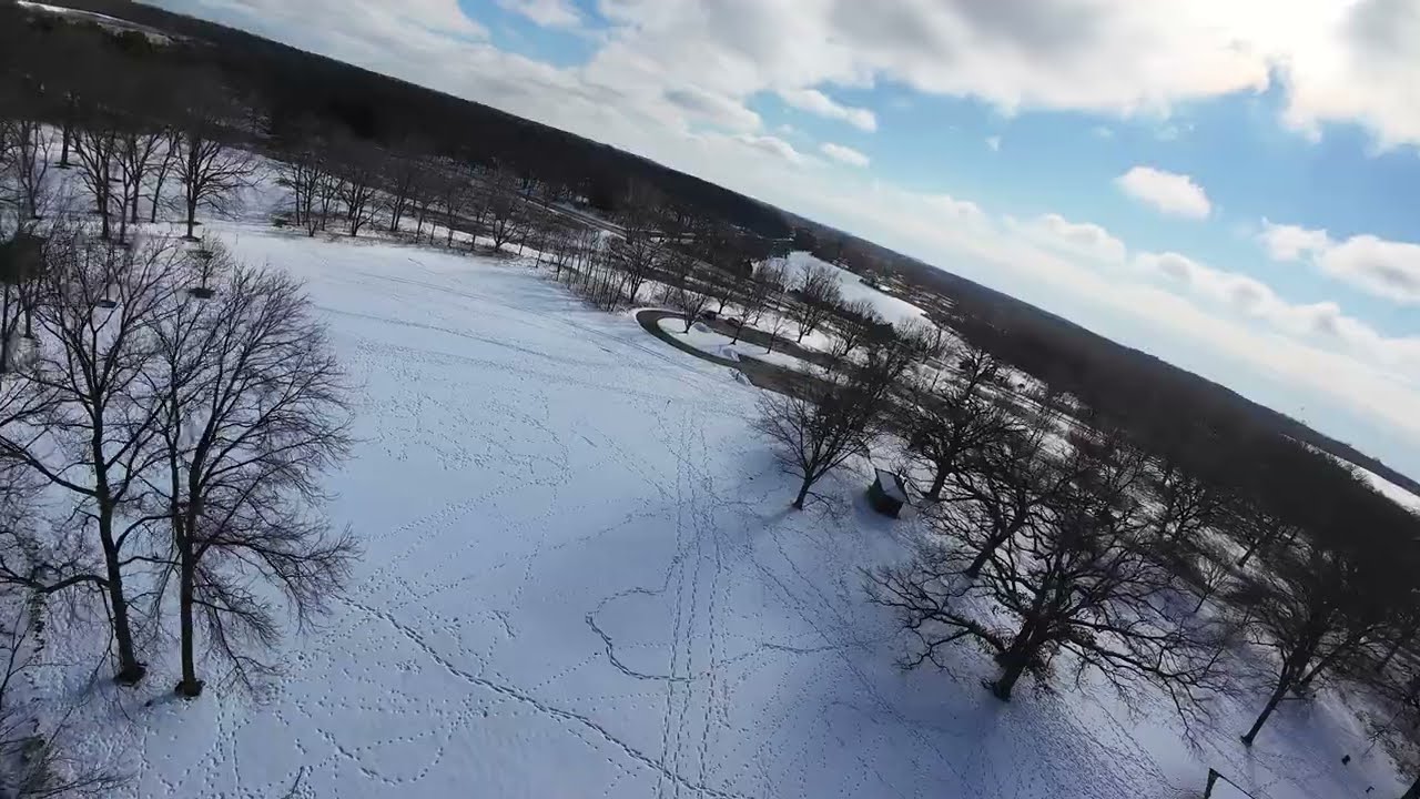 Van Patten Woods