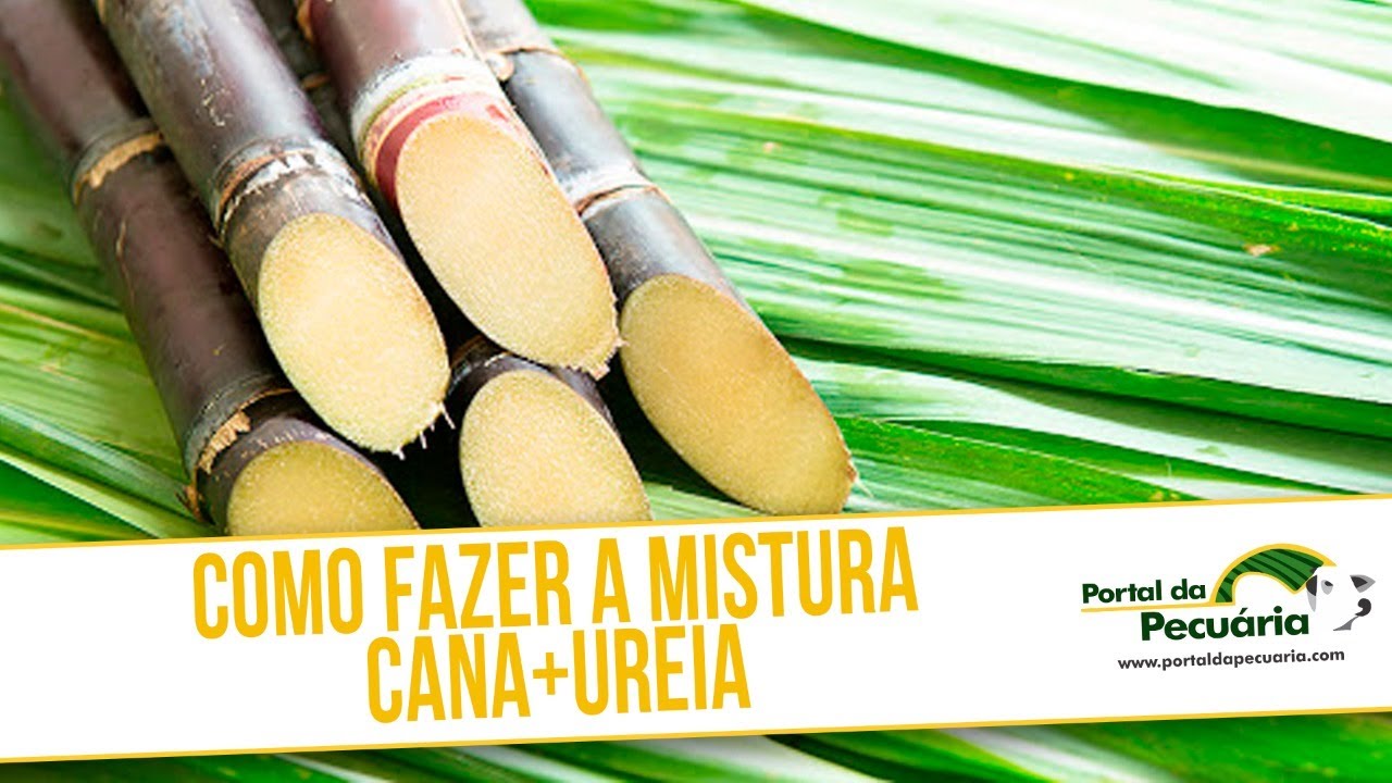 Como fazer a mistura cana + ureia ?
