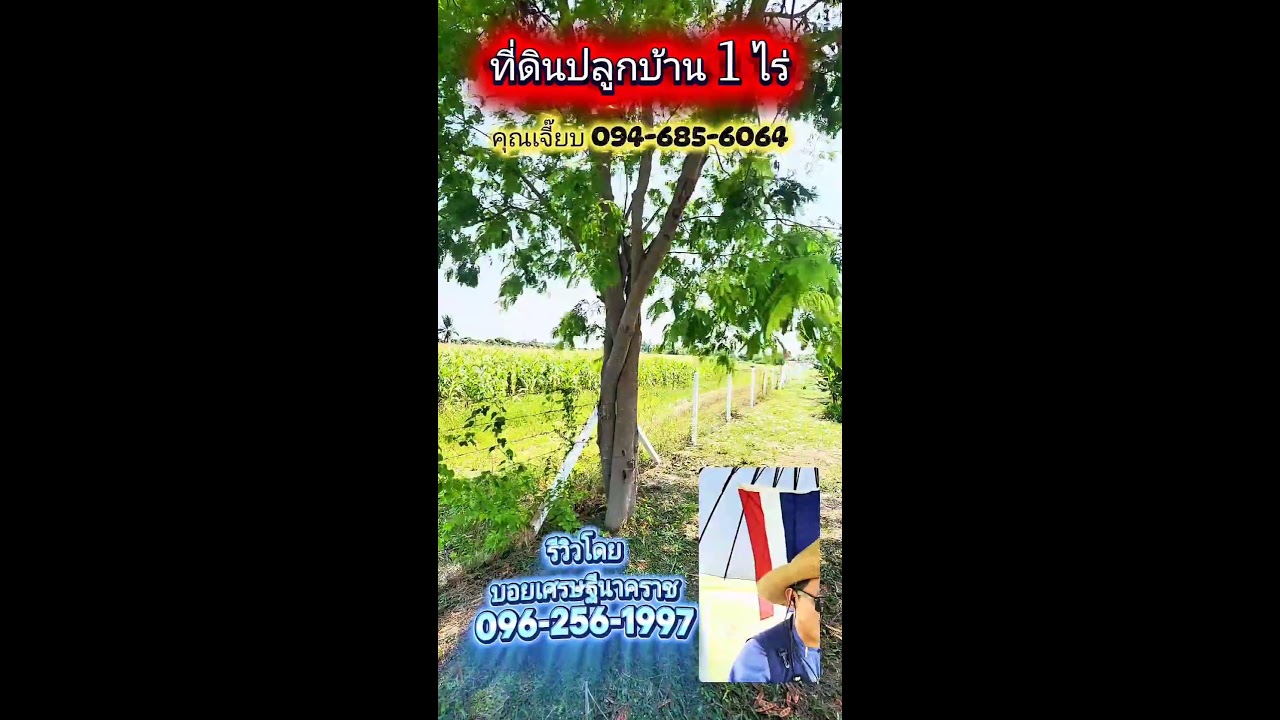 ใครเข้ามาชมแล้ว ถ้าชอบถูกใจ ฝากพิมพ์ ชอบ ให้ผมบ้างน่ะครับ 🙏🙏🙏 #บอยเศรษฐีนาคราช