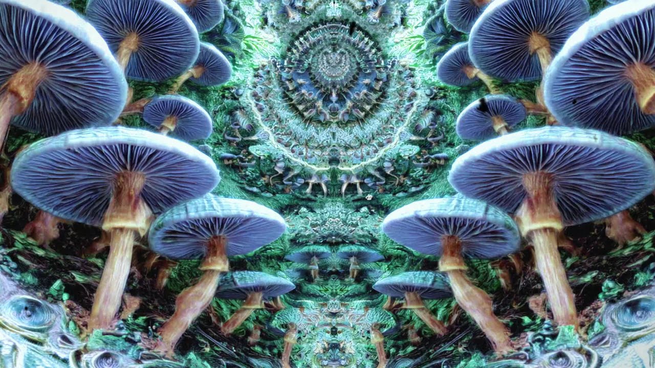 🌲 Dark Forest Goa Trance 🌌 Psytrance 2025 🔮 Mystical Spirit Energy