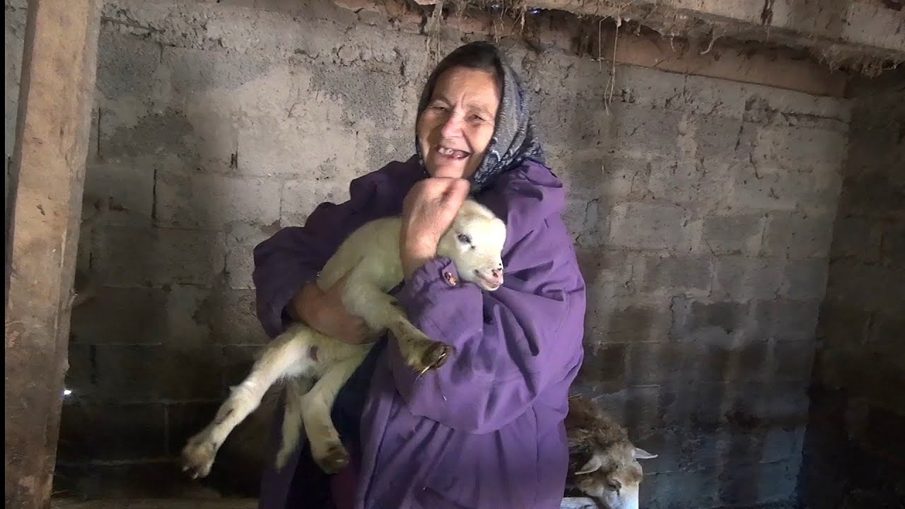 Ja sam uvijk nasmijana.Ja sam seljak čuvam ovce  čuvama koke od toga živim,borim se..