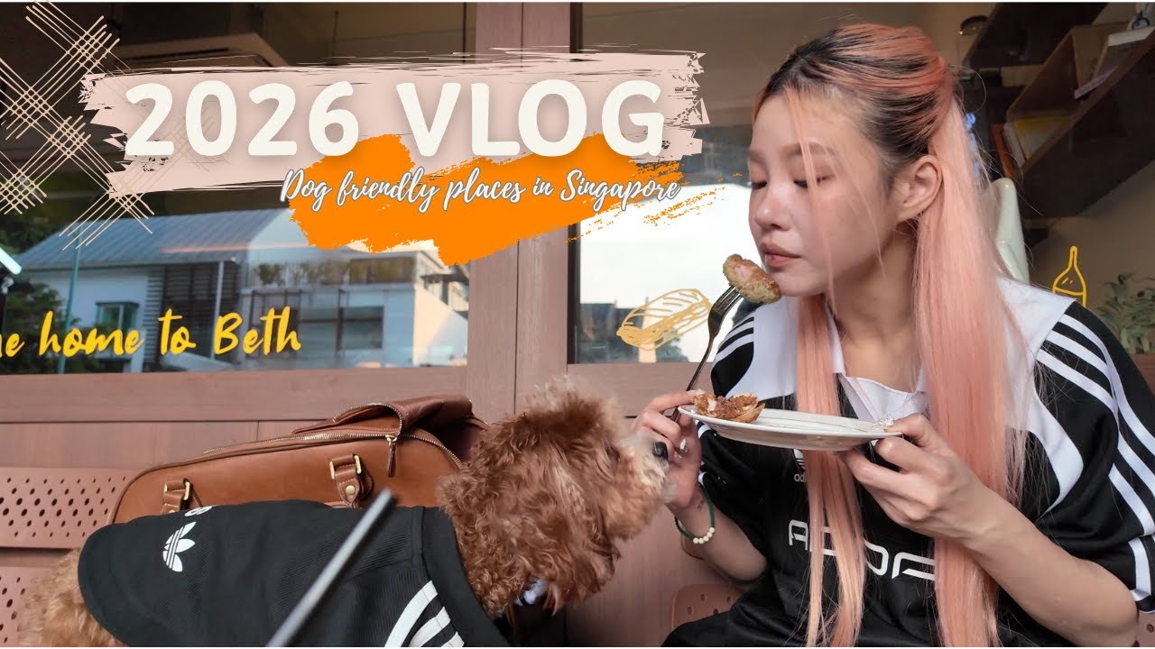 2026 First Vlog -   Weekend reset, Dog friendly cafes