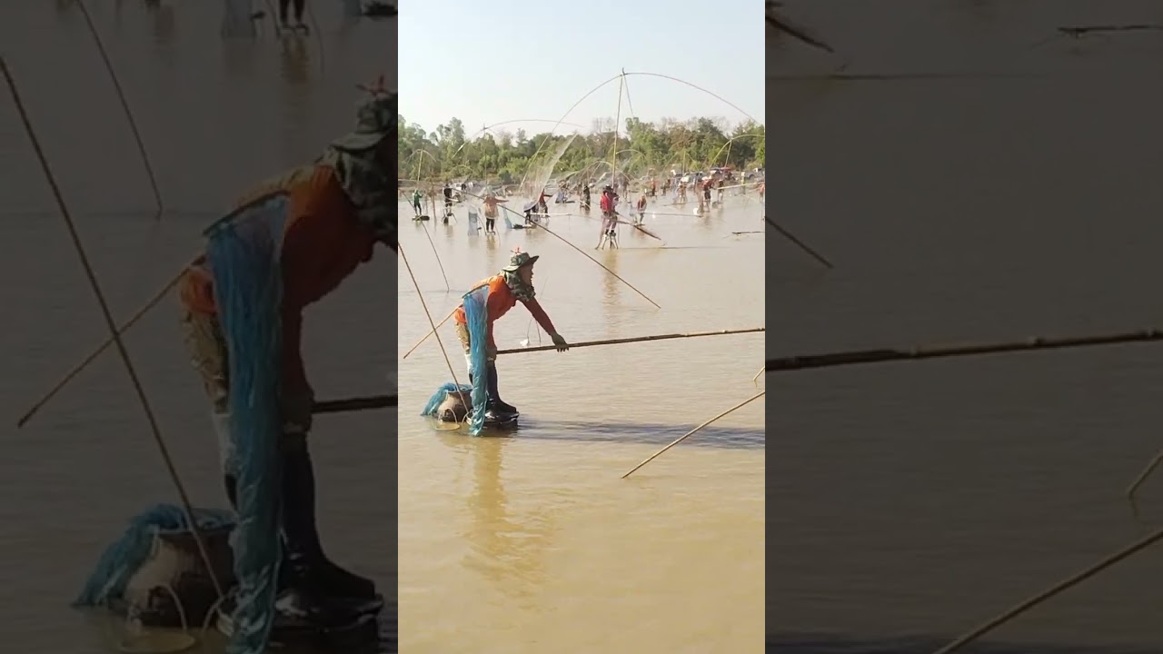 ลงปลาหนองแสนตอ บ้านหนองลาดน้อย