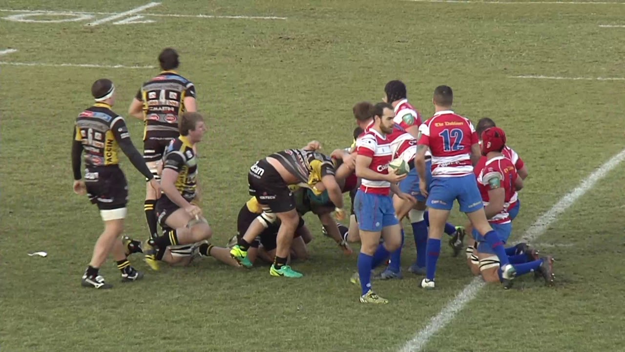 Continental Shied -  Calvisano Vs H.R.K.  Highlights