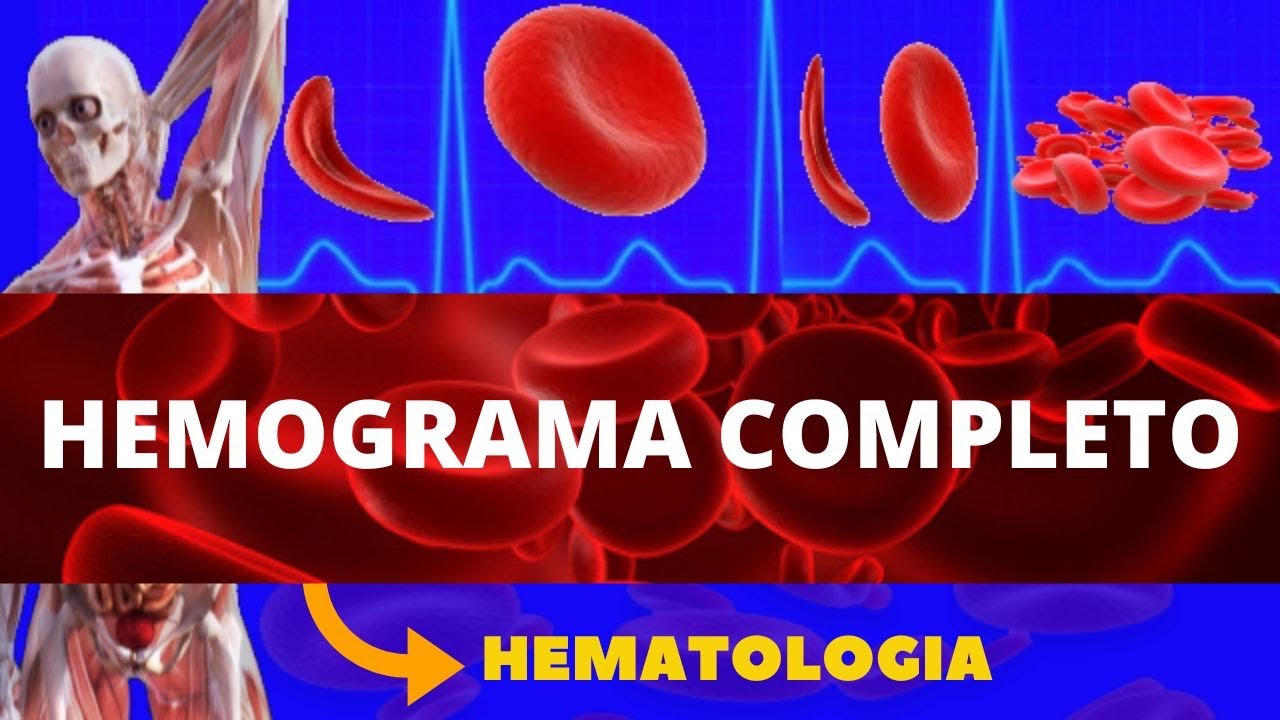 HEMOGRAMA COMPLETO (INTERPRETANDO O HEMOGRAMA) -  APRENDA O HEMOGRAMA COMPLETO - HEMATOLOGIA