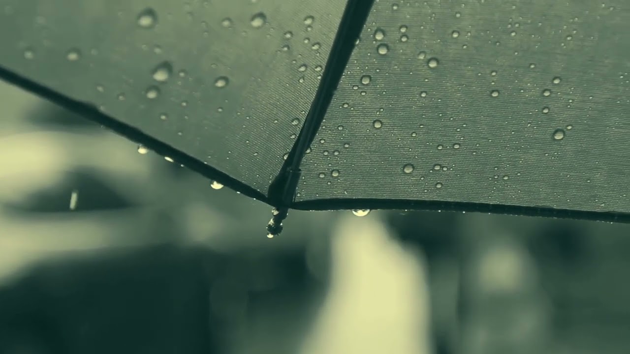 „Parasol“