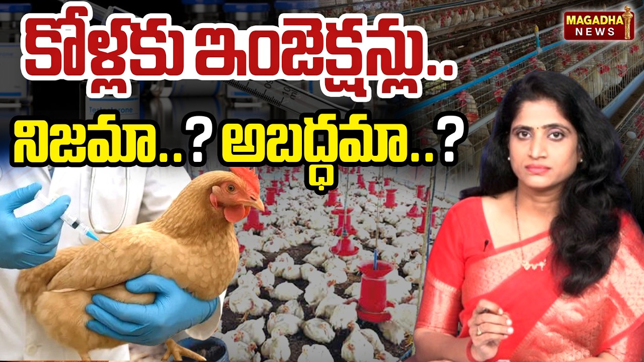 చికెన్ ప్రియులకు తెలియాల్సిన నిజాలు.. వ్యాపారులపై అసత్య ప్రచారాలు..? | SS Lakshmi Exclusive Analysis