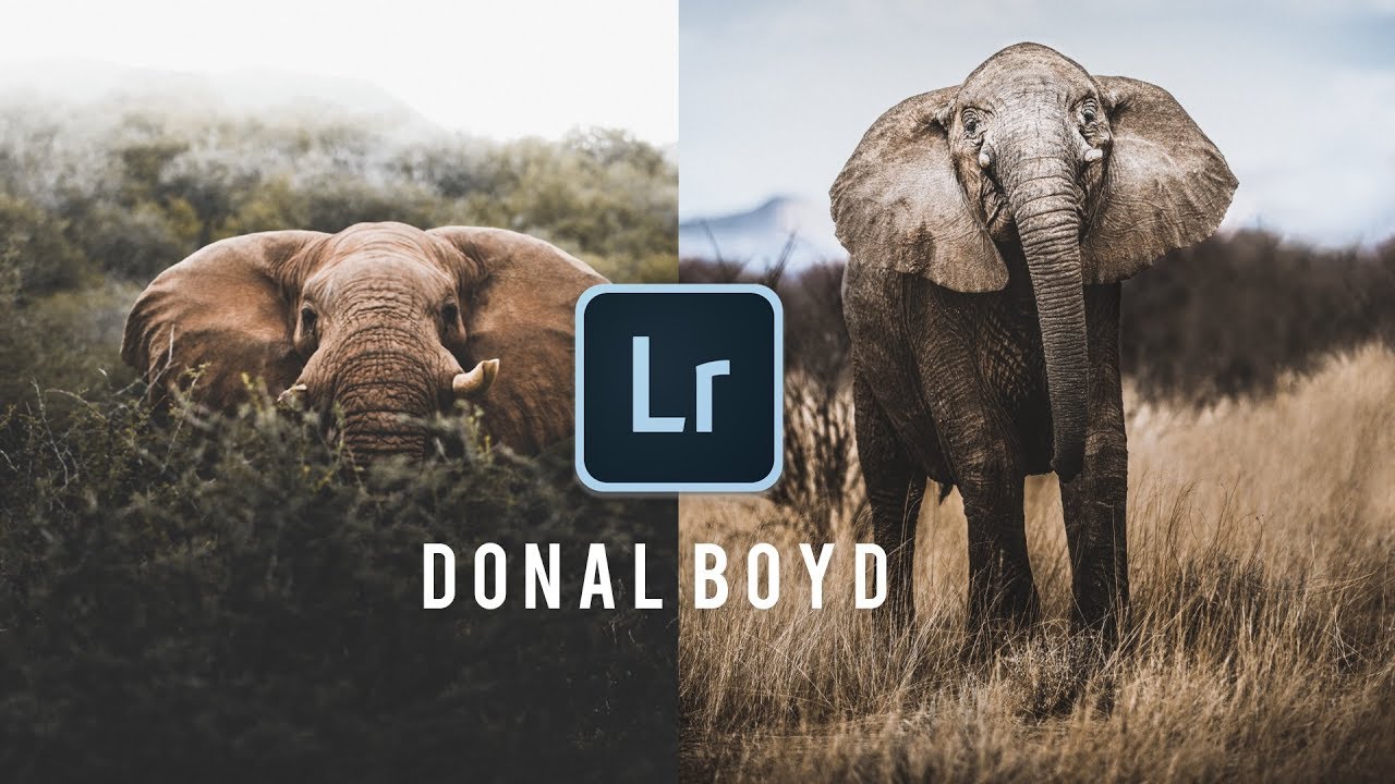 HOW TO EDIT LIKE @DONALBOYD | INSTAGRAM LIGHTROOM TUTORIAL