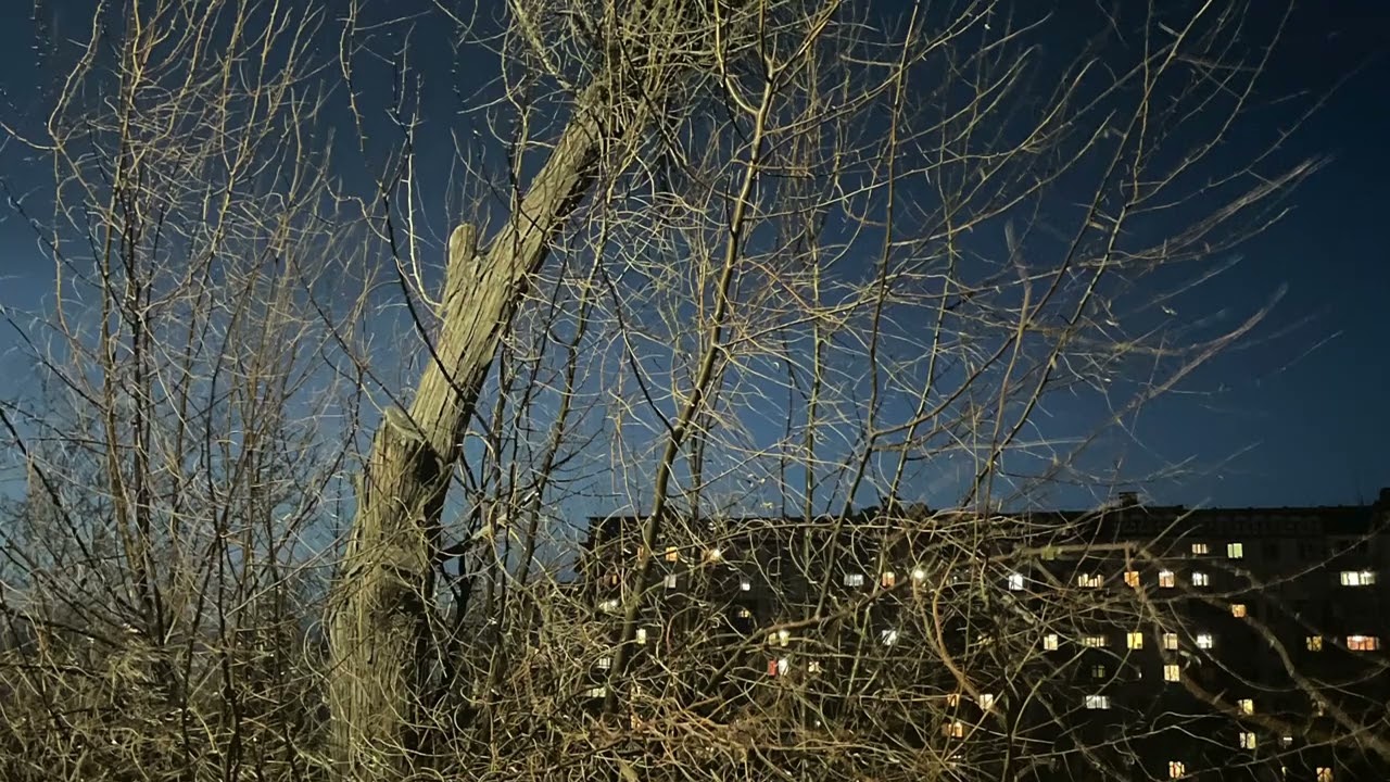 Meggie from Drogheda - 180424