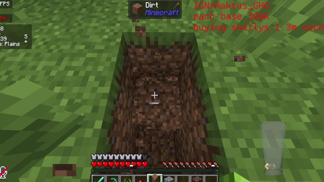 Minecraft donut/PVP