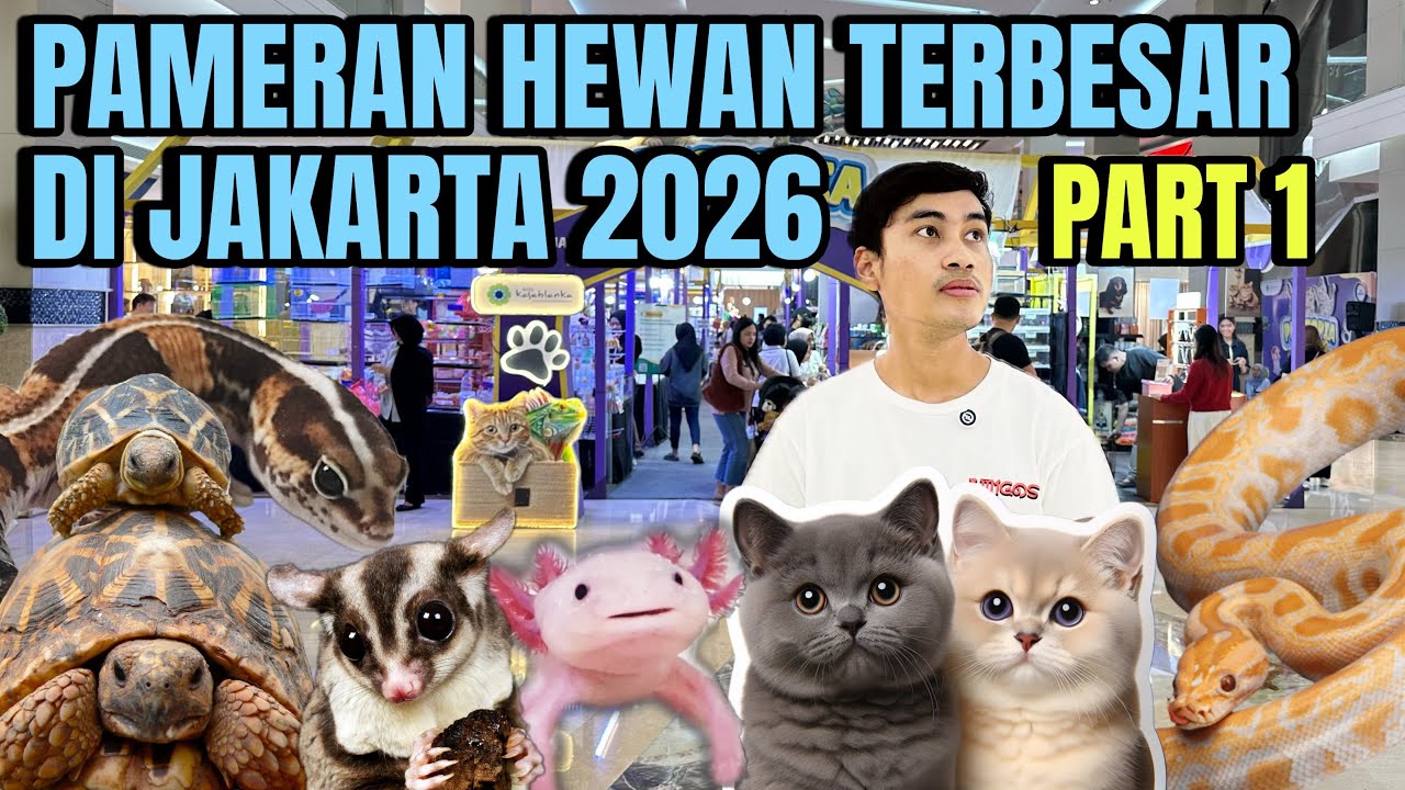 GREBEK PAMERAN HEWAN TERBESAR DI JAKARTA 2026 ‼️ Part 1