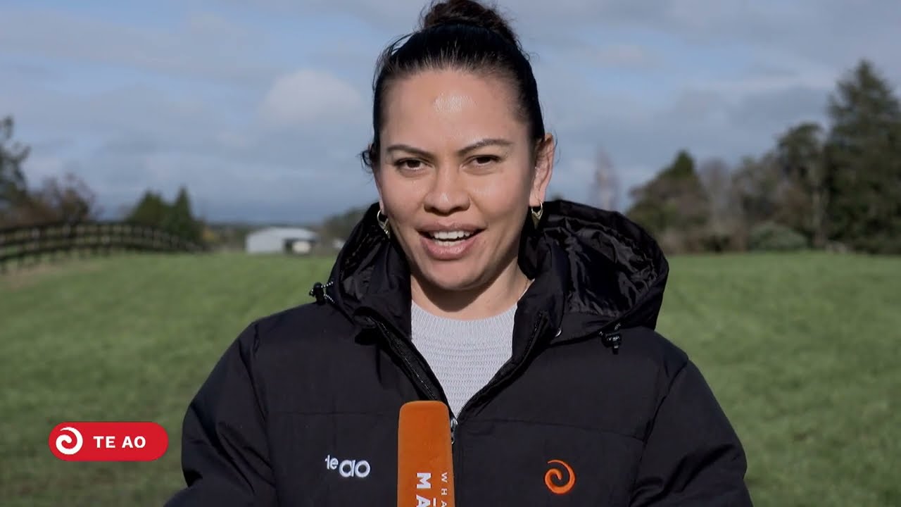 Learning what happened at Te Ranga - 159th commemorations of the battle