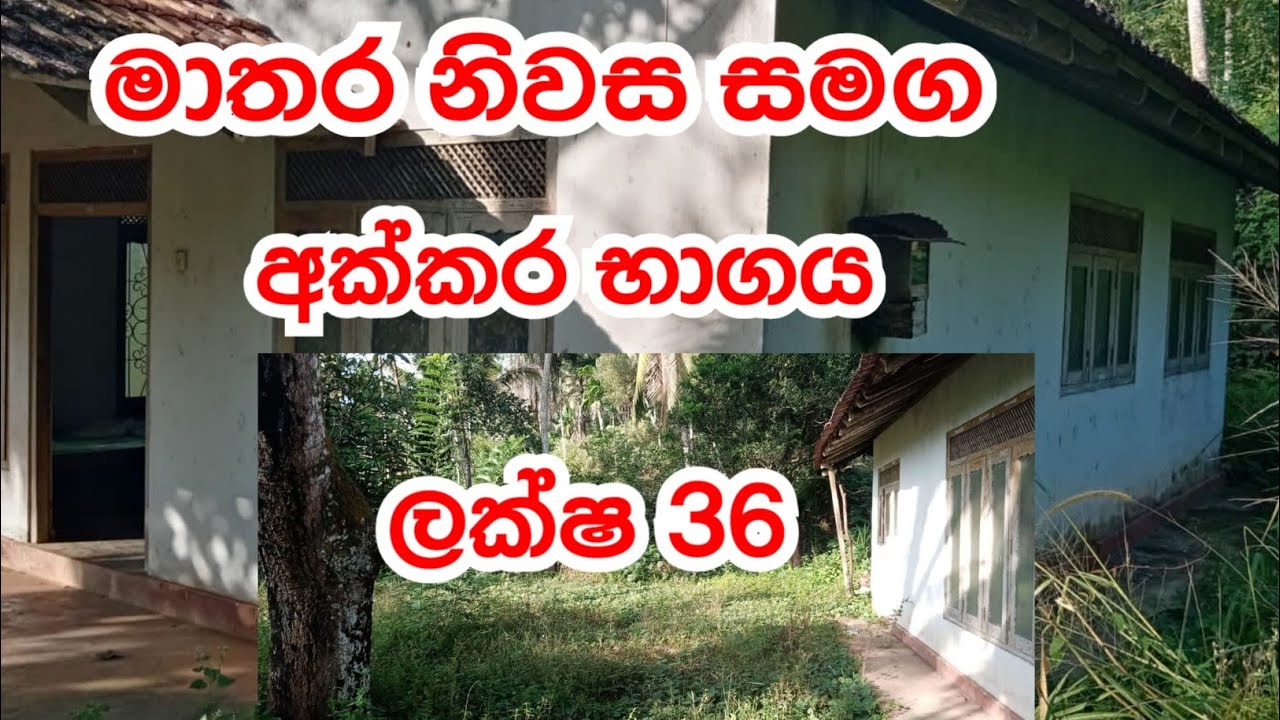 land for sale in mathara #11 / land for sale in sri lanka / house and land for sale / thorathuru lk