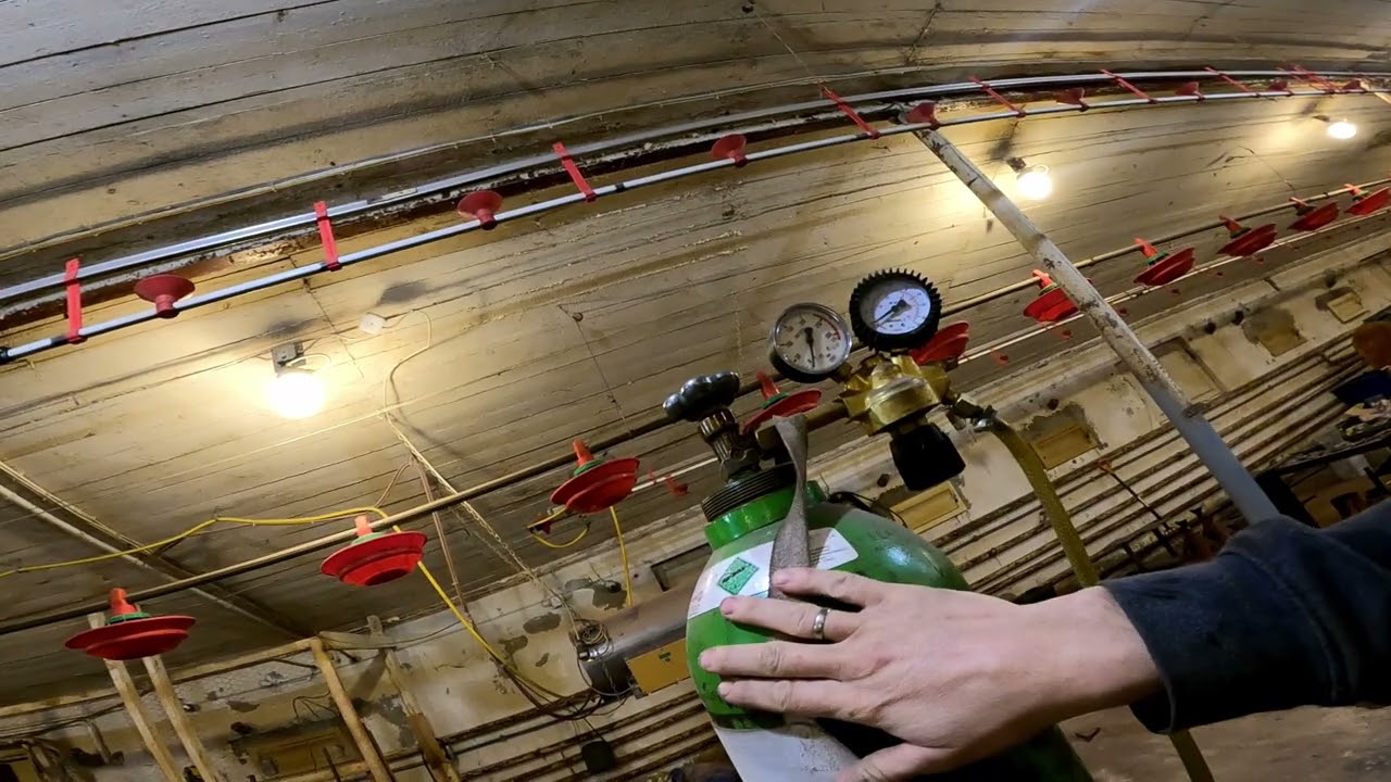 Spawanie nierdzewki na kolanie, gaz MIX. Wygrodzenia dla świń. Metalweld 308Lsi