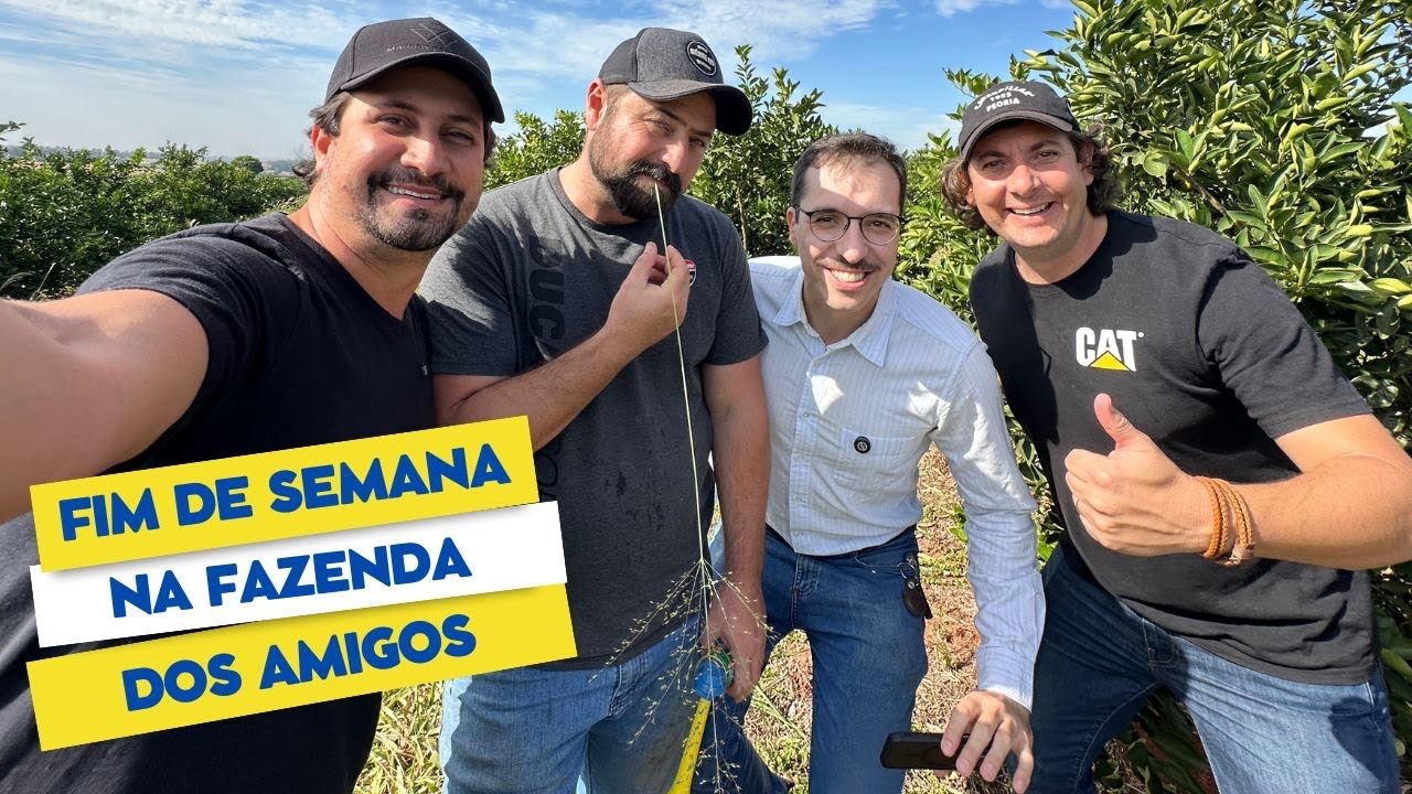 Visitei o Allan Pasquini, o Fala Tch&ecirc; e o Vitor l&aacute; no Paran&aacute;.