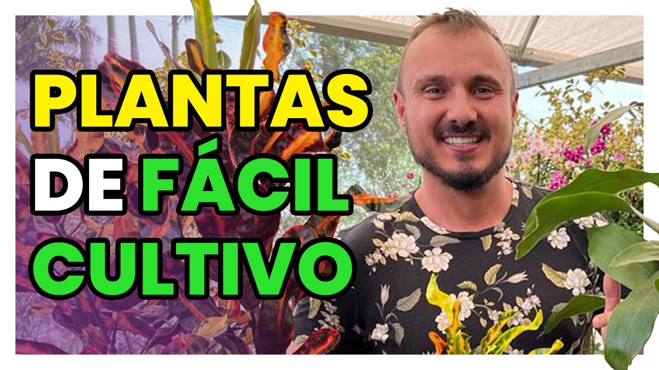 18 PLANTAS DE FÁCIL CULTIVO | Você vai querer tê-las em casa