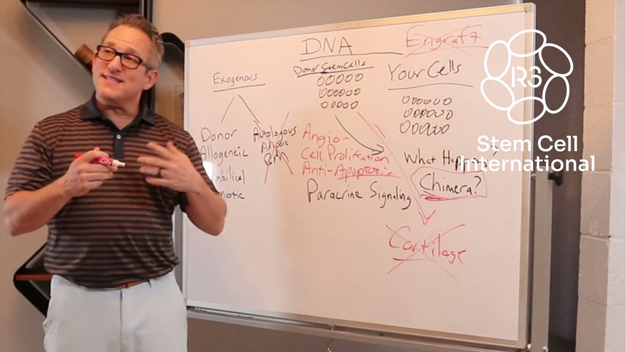 Will Stem Cell Therapy Change Your DNA?  +1 (844) GET-STEM