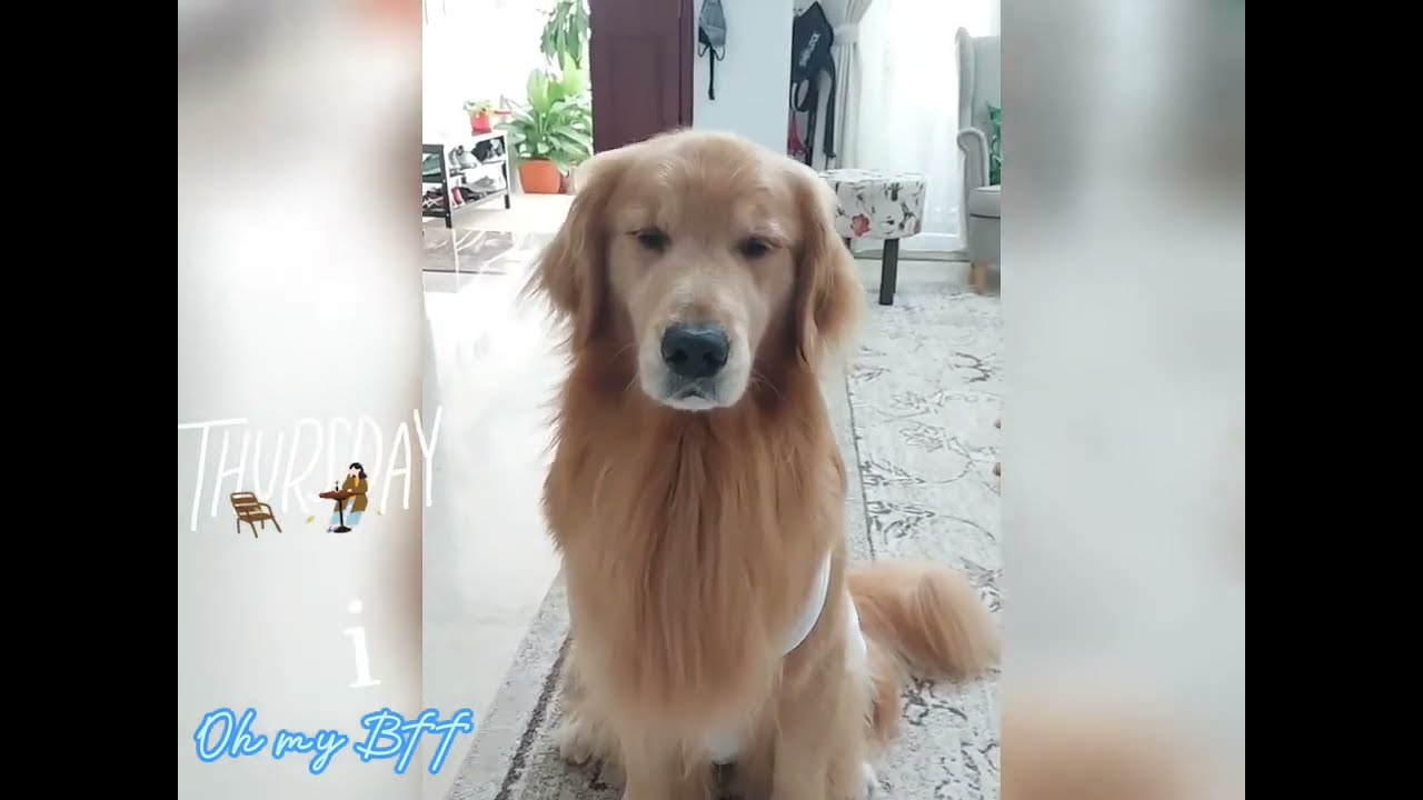 The most adorable Gesture