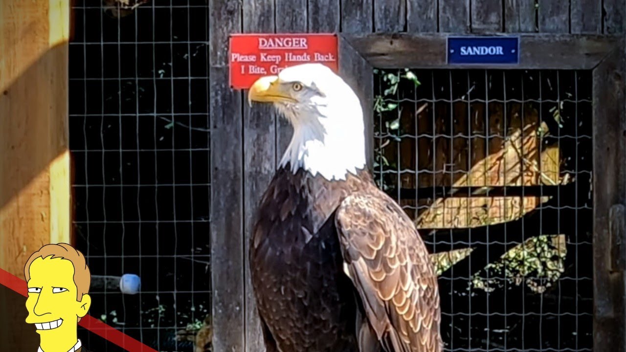 NORTH ISLAND WILDLIFE RECOVERY CENTRE