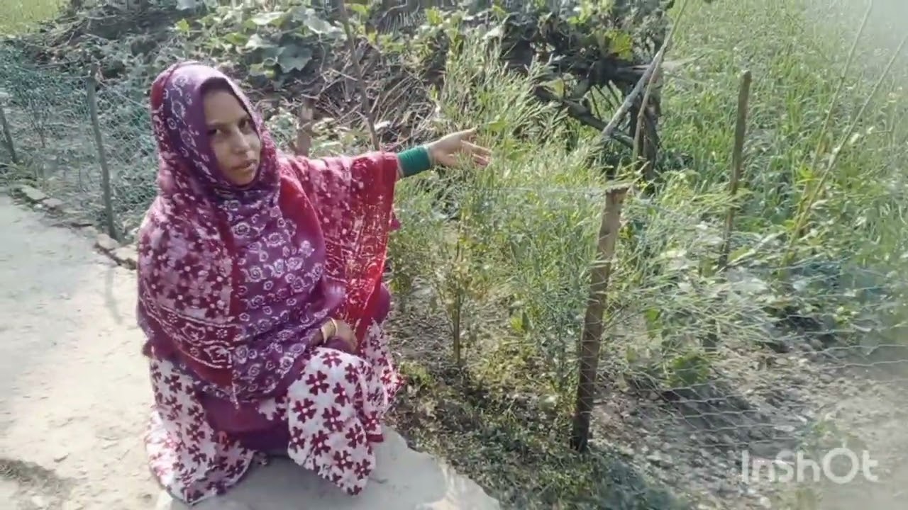অনেক সুন্দর