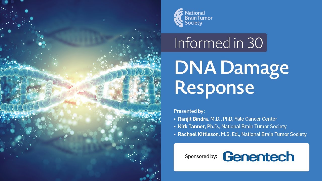 Informed in 30 - Understanding DNA Damage Repair