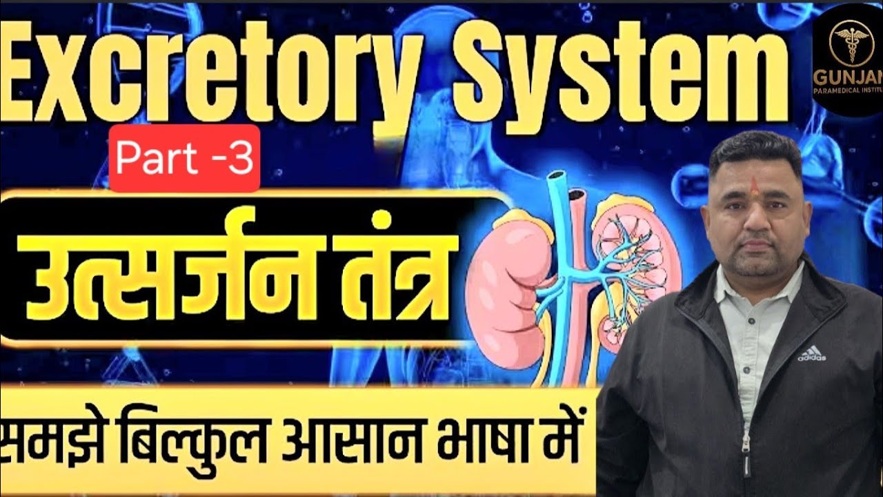 Excretory System Part 3