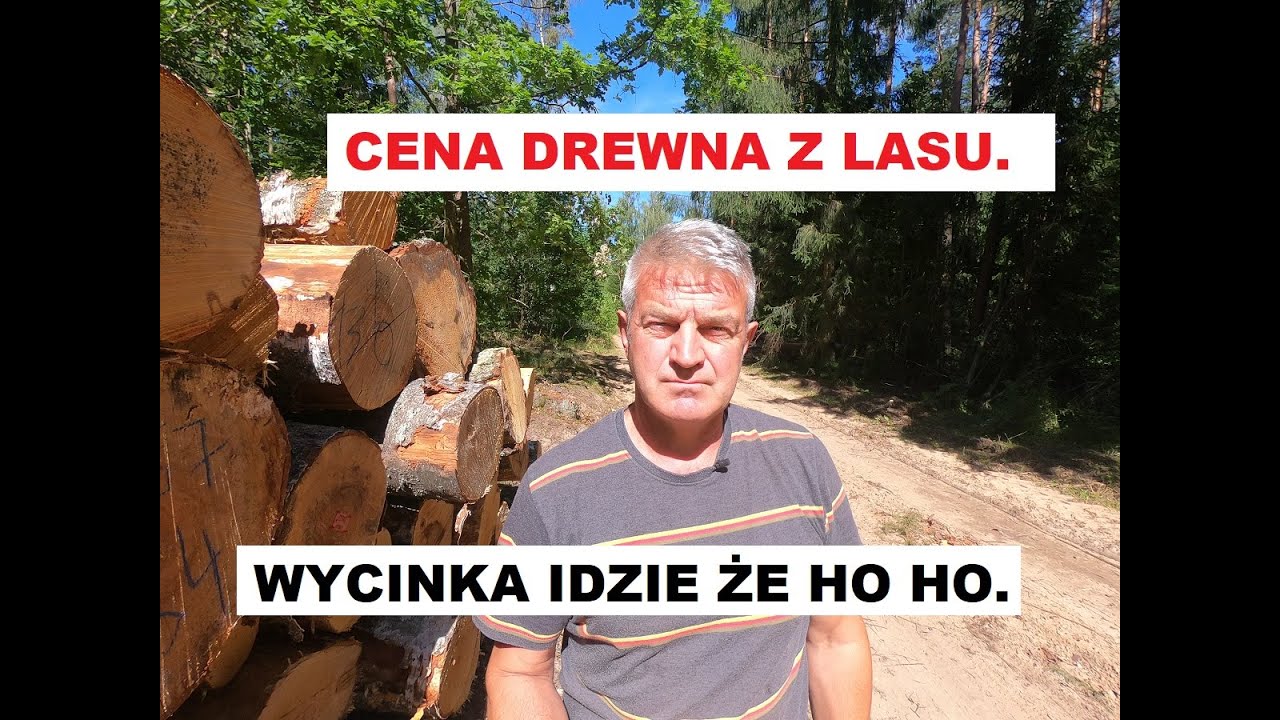 Cena drewna opałowego, czyli po ile chrust.