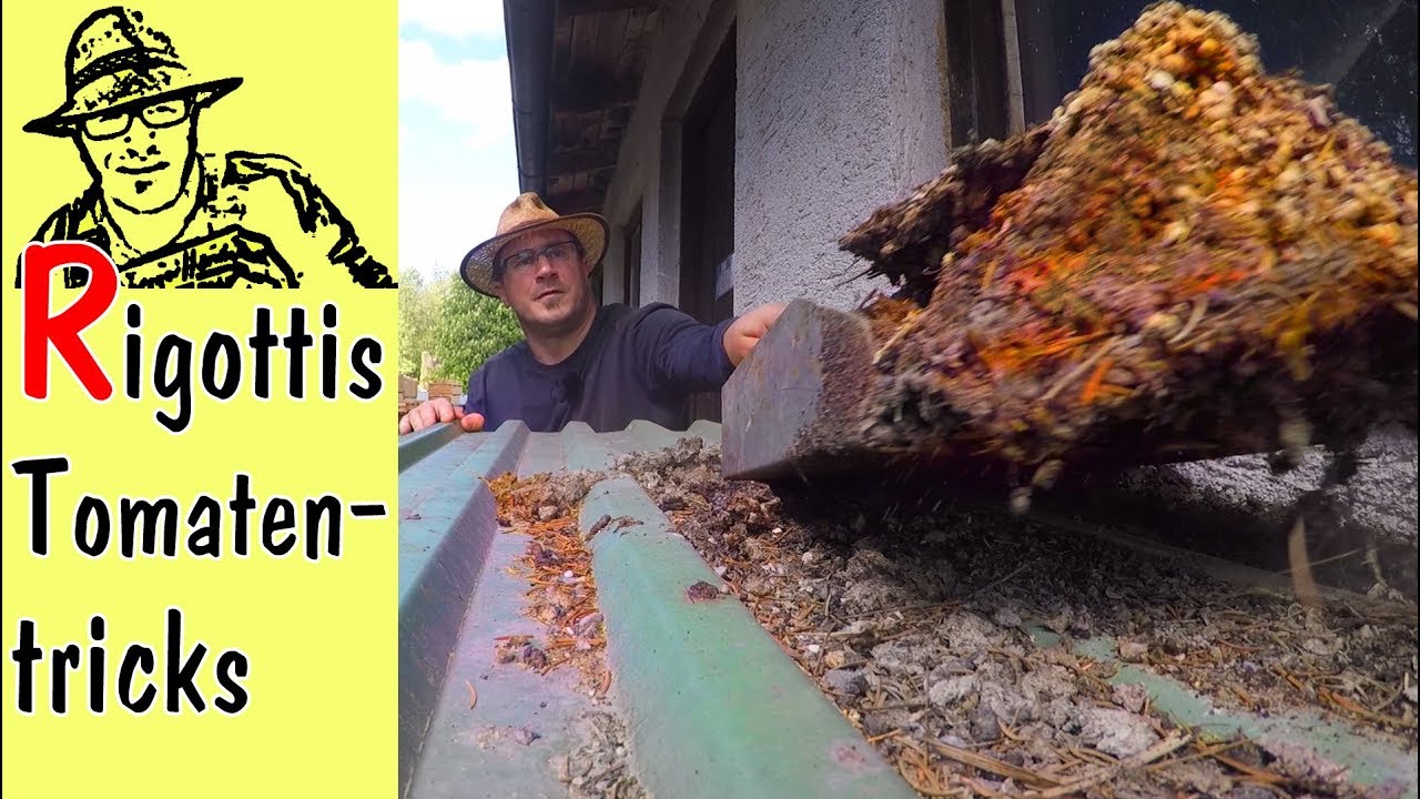 Tricks für tolle Tomaten - #TomatenGOLD