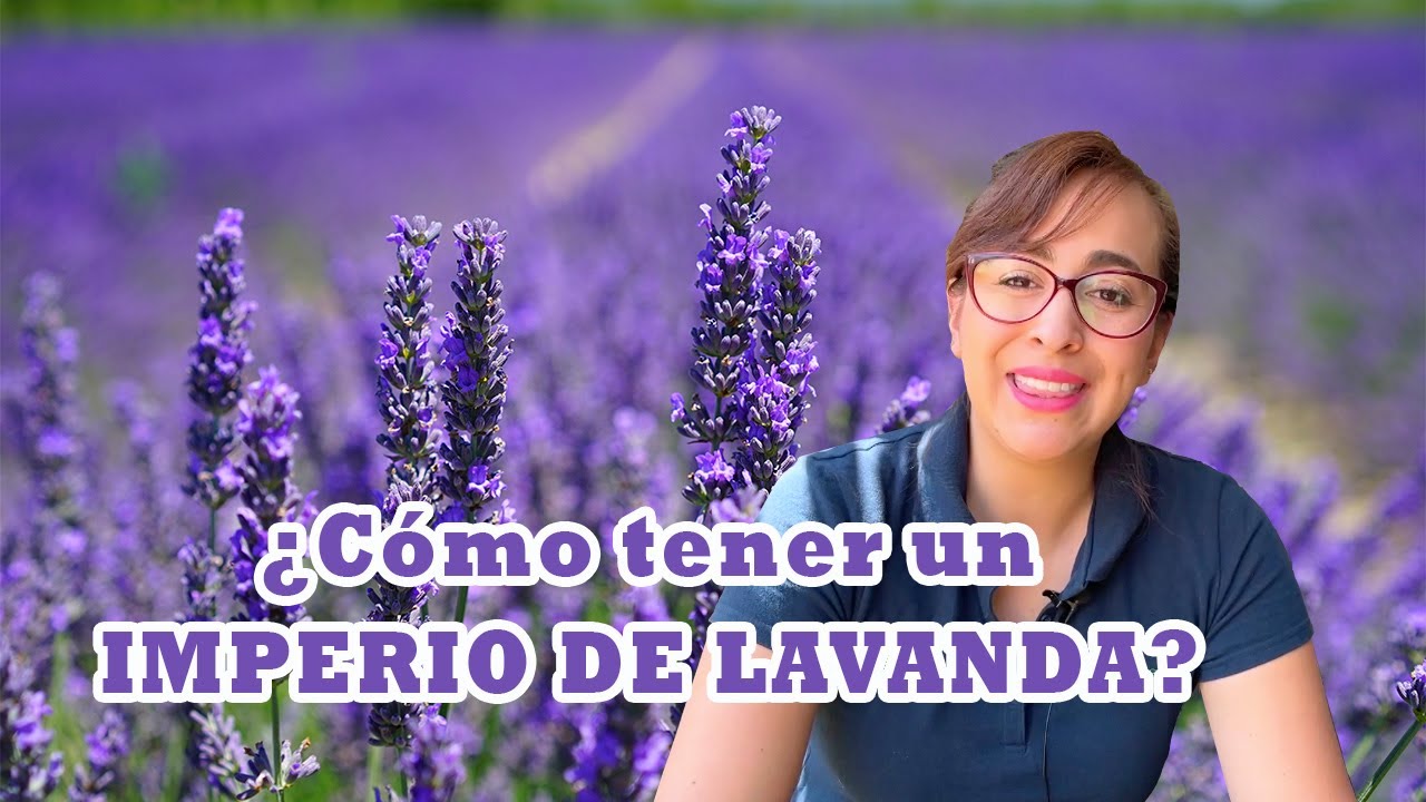 ¿Cómo tener LAVANDA EN EL JARDÍN?💜: Reproducir por esquejes PASO A PASO✨
