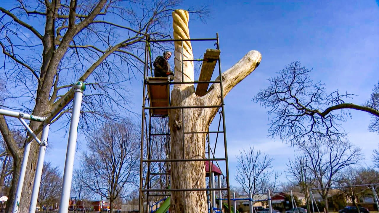 Turning Chicago’s Dead or Invasive Trees into Works of Art