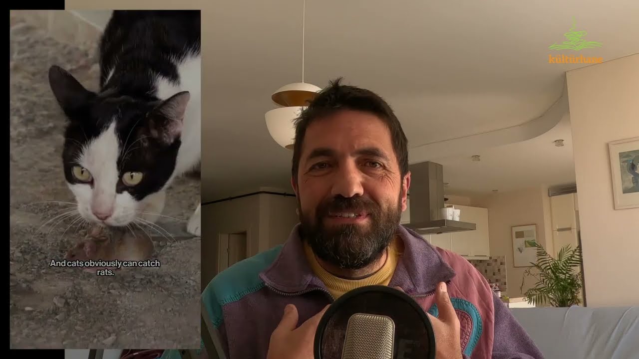 Ayılar, Fareler ve Kentler