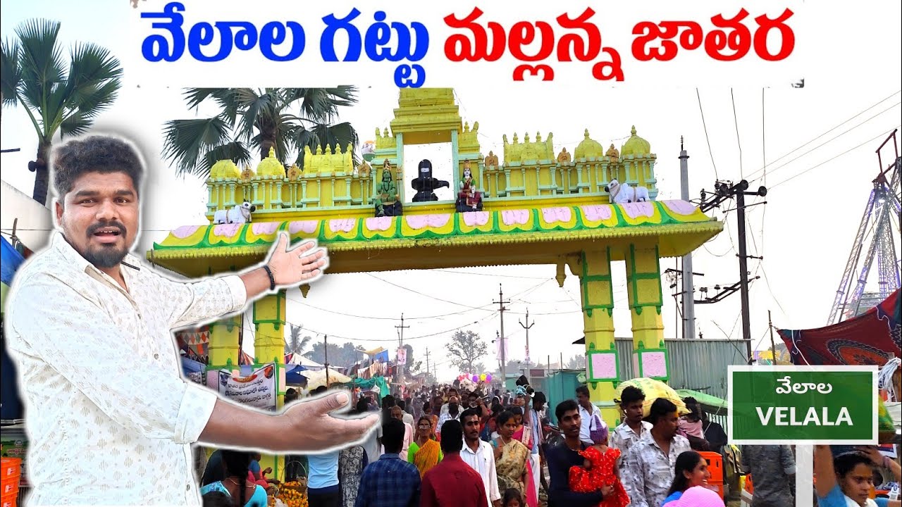 Velala jathara | velala gattu Mallanna jathara | velala #mallanna #mallannajatara #mahashivratri 