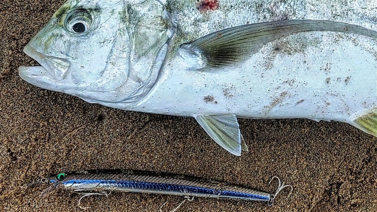 GREENSPOT (BRASSY) KINGFISH/TREVALLY | Fishing During Neap Tide | RAPALA MAXRAP 17 | SPINNING KZN