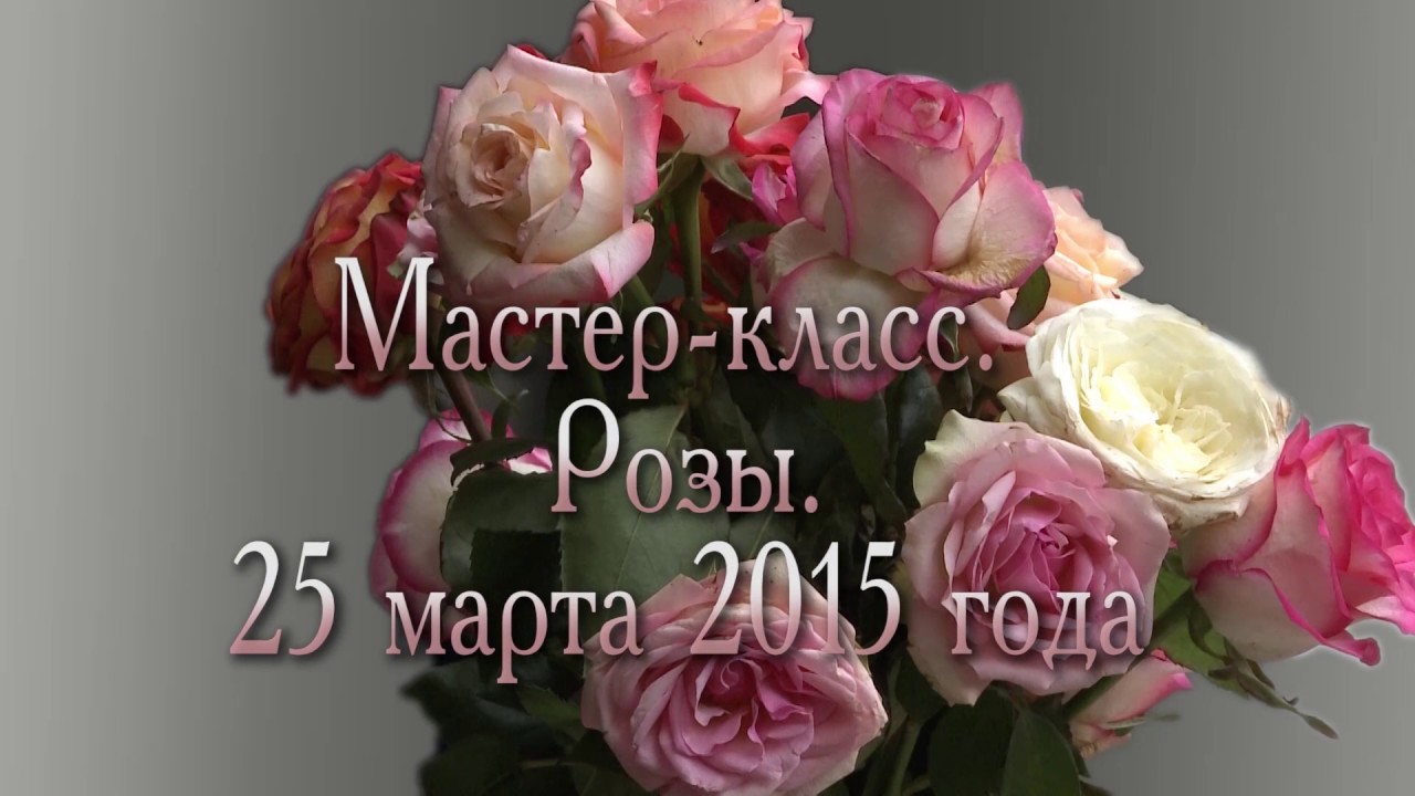 Мастер класс Сергея Андрияки 