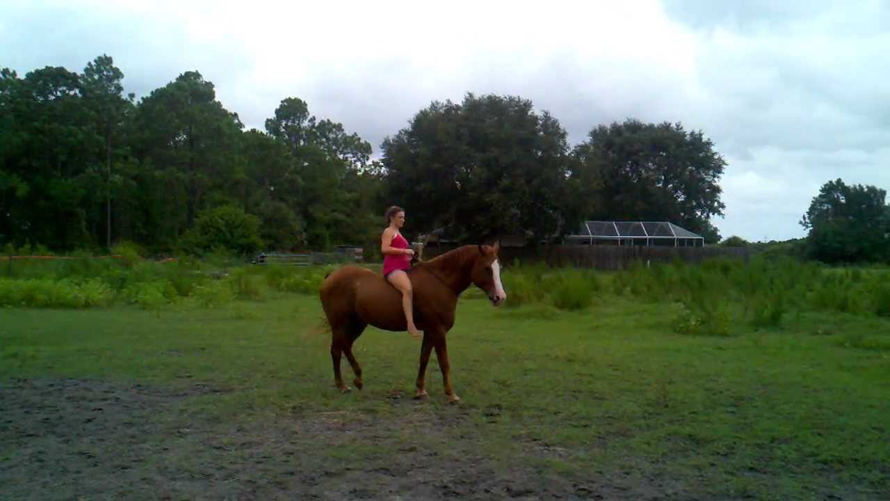 Morgans Bridleless and bareback ride on Captain