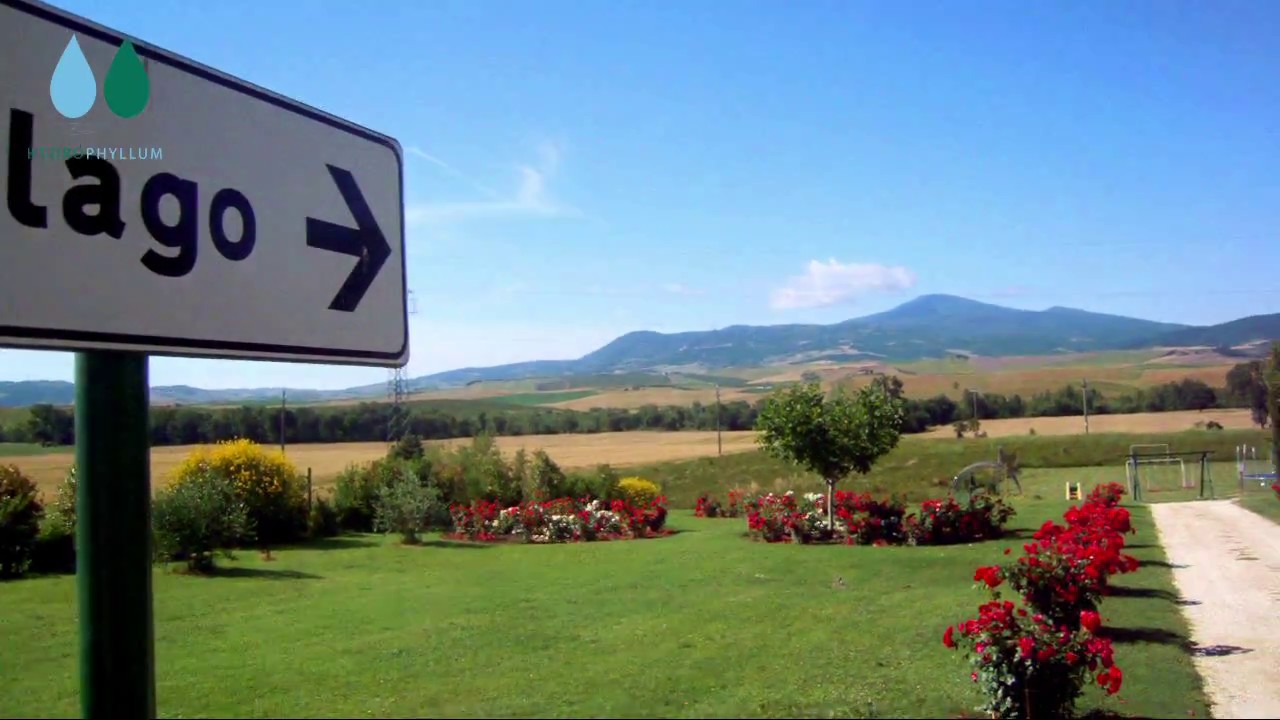 HYDROPHYLLUM - Consulenza su BioPiscina all'agriturismo 