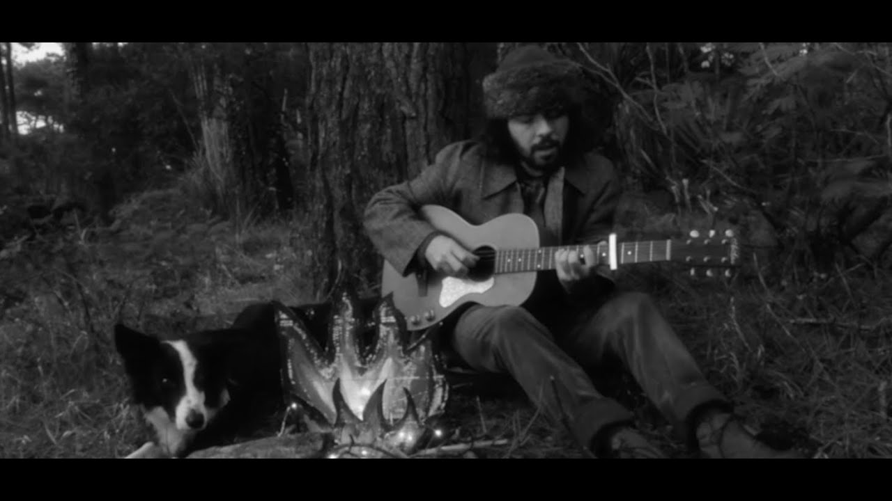 WOODEN BEAVER - INTO THE WOODS (Clip officiel)
